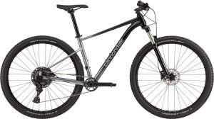 Cannondale Trail SL 4 29 Jant Dağ Bisikleti - Grey 44 cm