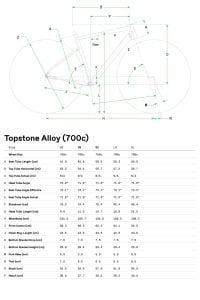 Cannondale Topstone 3 Gravel Yol Bisikleti - Gri