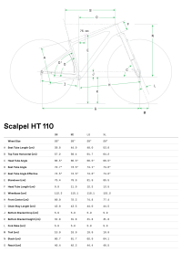 Cannondale Scalpel HT Carbon 3 29 Jant Dağ Bisikleti - Rally Red