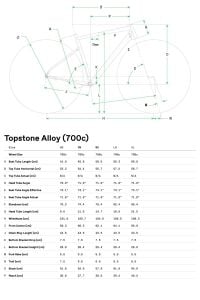 Cannondale Topstone 2 Cues 1x Gravel Yol Bisikleti - Orchid