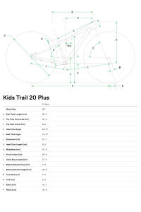 Cannondale Kids Trail Plus 20 Jant Çocuk Bisikleti - Cactus Green