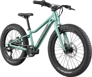 Cannondale Kids Trail Plus 20 Jant Çocuk Bisikleti - Cactus Green