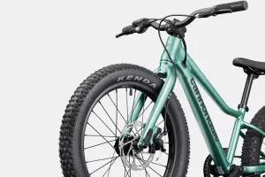 Cannondale Kids Trail Plus 20 Jant Çocuk Bisikleti - Cactus Green