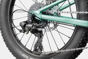 Cannondale Kids Trail Plus 20 Jant Çocuk Bisikleti - Cactus Green