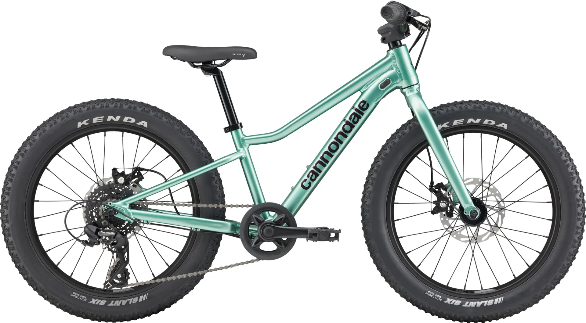 Cannondale Kids Trail Plus 20 Jant Çocuk Bisikleti - Cactus Green