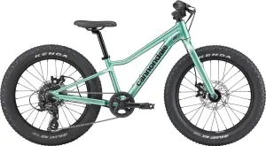 Cannondale Kids Trail Plus 20 Jant Çocuk Bisikleti - Cactus Green