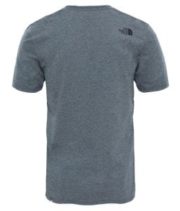 The North Face Easy Tee Erkek Tişört - Gri