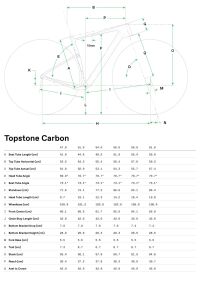 Cannondale Topstone Carbon 3 GRX 1x Gravel Yol Bisikleti - Orange Slice