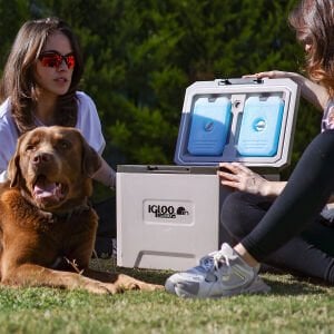 IGLOO CoreMAX 22 Buzluk 22 Litre