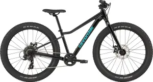 Cannondale Kids Trail Plus 24 Jant Çocuk Bisikleti - Black Pearl