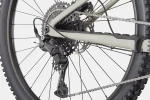 Cannondale Habit HT 1 29 Jant Dağ Bisikleti - Tiger Shark